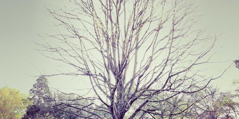 从Z世代到银发族：解码创意生活百货与家居用品的跨代际消费密码