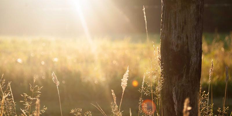 从概念到量产：创意小商品开发流程中的5个关键决策点