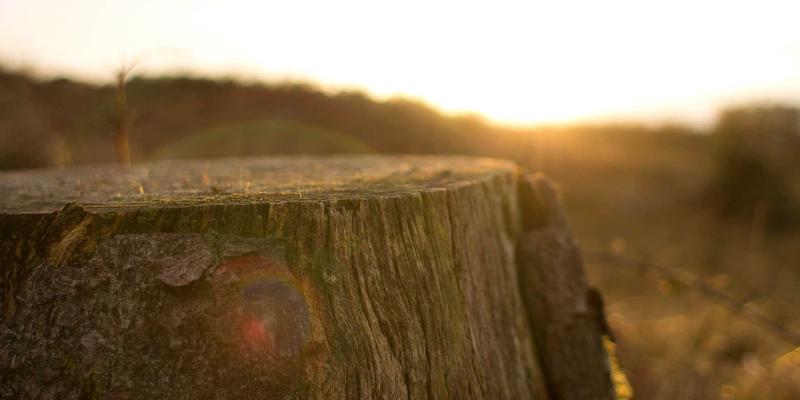 创意小商品34：数码配件、家居用品、办公文具的灵感碰撞与生活升级