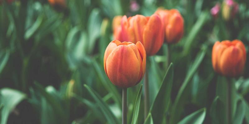 创意小商品79：点亮日常生活的灵感，打造独特家居与心意礼品