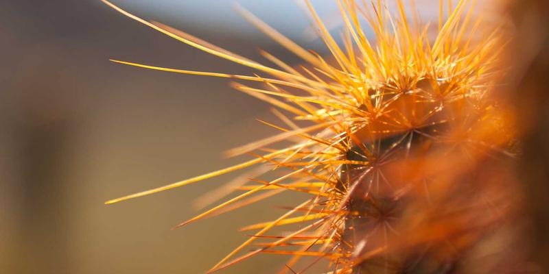 创意小商品90：点亮日常的家居用品、数码配件与创意礼品新浪潮