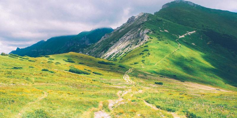 创意小商品与家居用品的绿色革命：生物基可降解材料的应用前景