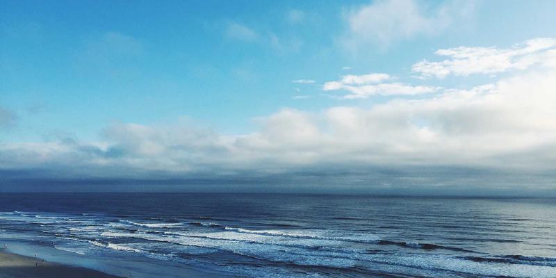 创意小商品如何切入宠物经济：设计兼具功能与美观的宠物用品