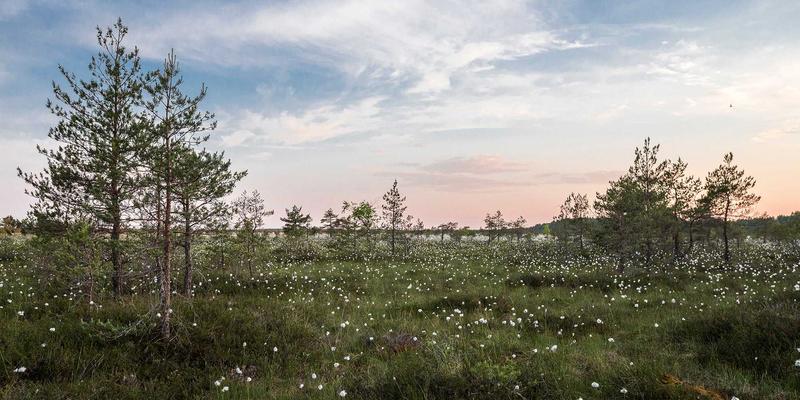 小不物大创意：点亮日常的家居用品与创意礼品新趋势