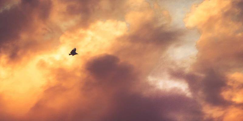 模块化设计风潮：可自由组合的数码配件、办公文具与生活百货如何重塑个性化空间