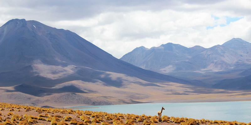 洞察Z世代情感需求：创意家居用品、办公文具与礼品设计的三大趋势